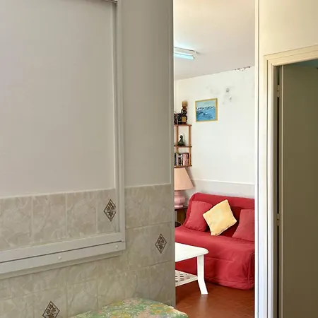 En Bord De Avec Parking, Animaux Acceptes - - Fr-1-529-61 * Le Barcarès